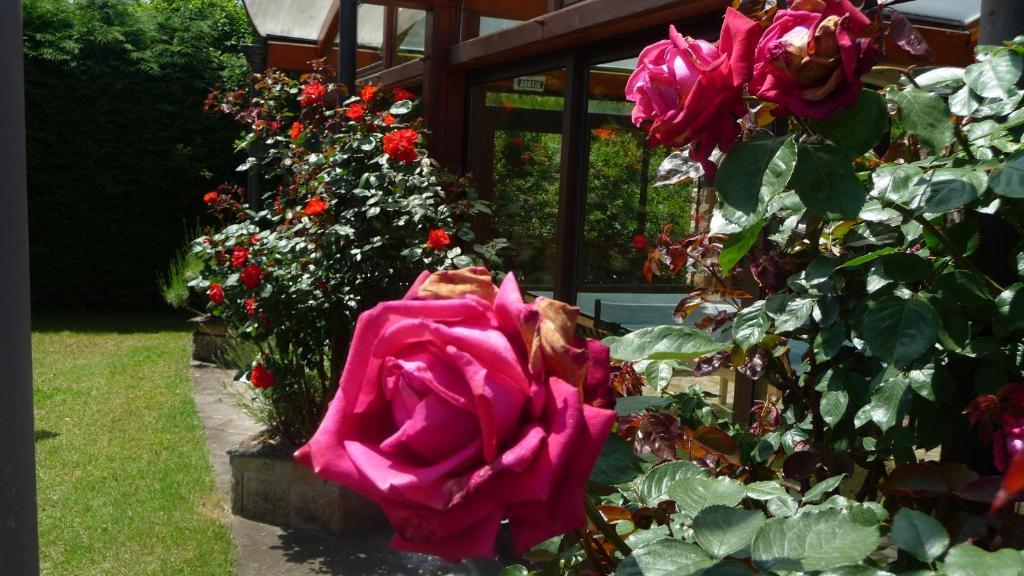 Logis La Rose Des Vents Hotel Volvic Ngoại thất bức ảnh